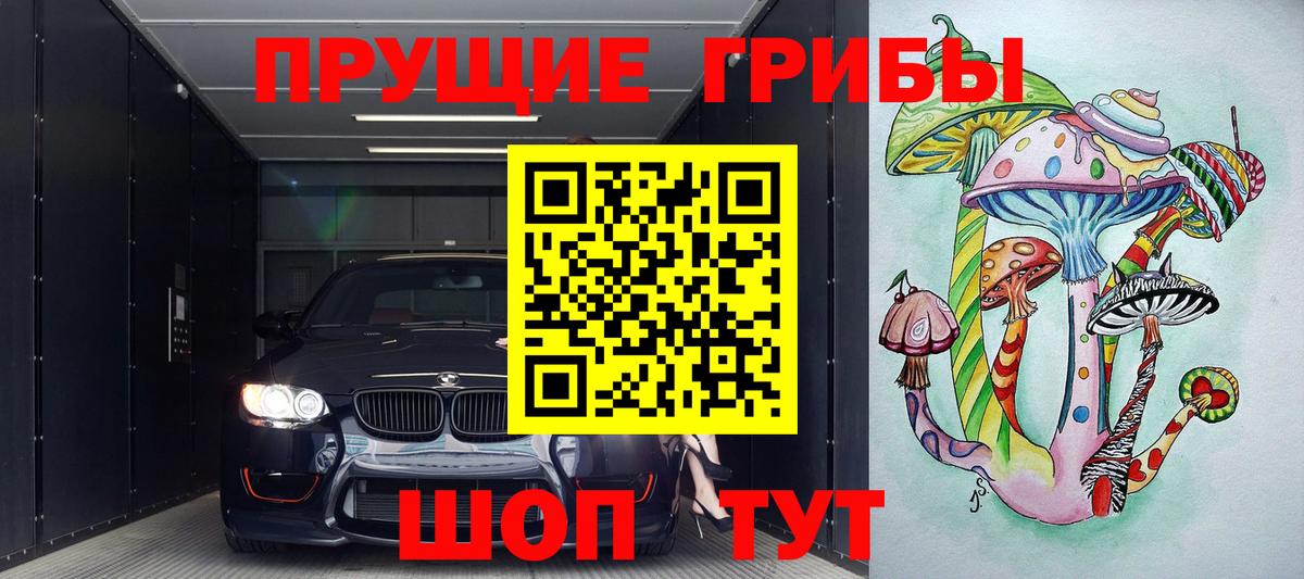 Алушта  Галлюциногенные грибы GOLDEN TEACHER  где продают   Вход с VPN  Псилоцибиновые грибы Magic Shrooms 